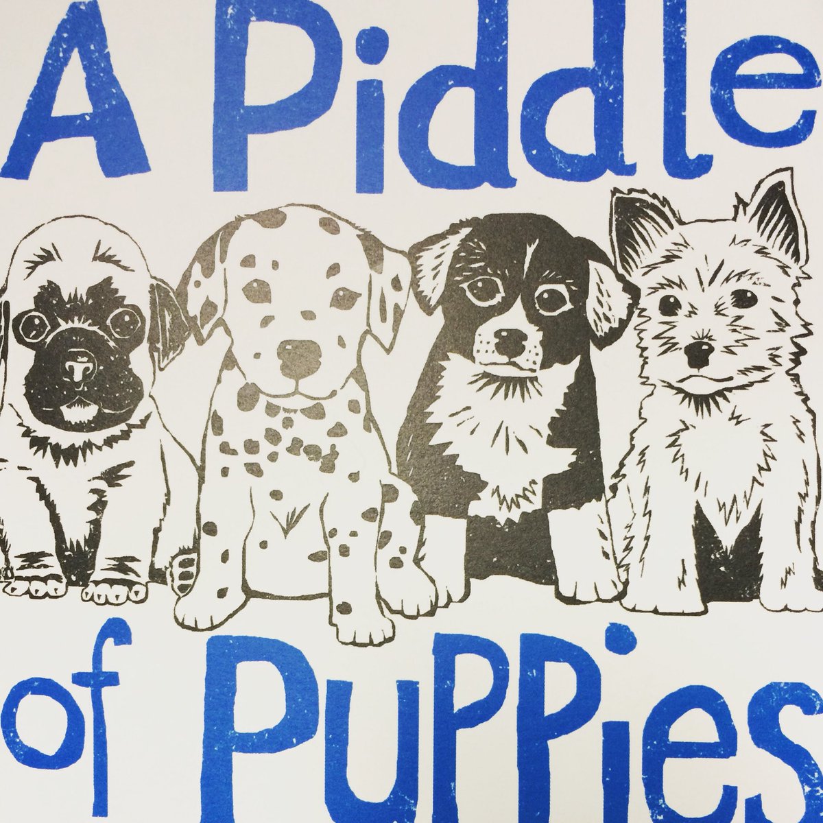 WellpetsCldon's tweet photo. He he we love π this cute #thankyou card we got sent! π #Wellpets #vets #clevedon #puppies https://t.co/2KuJ5hEd7c