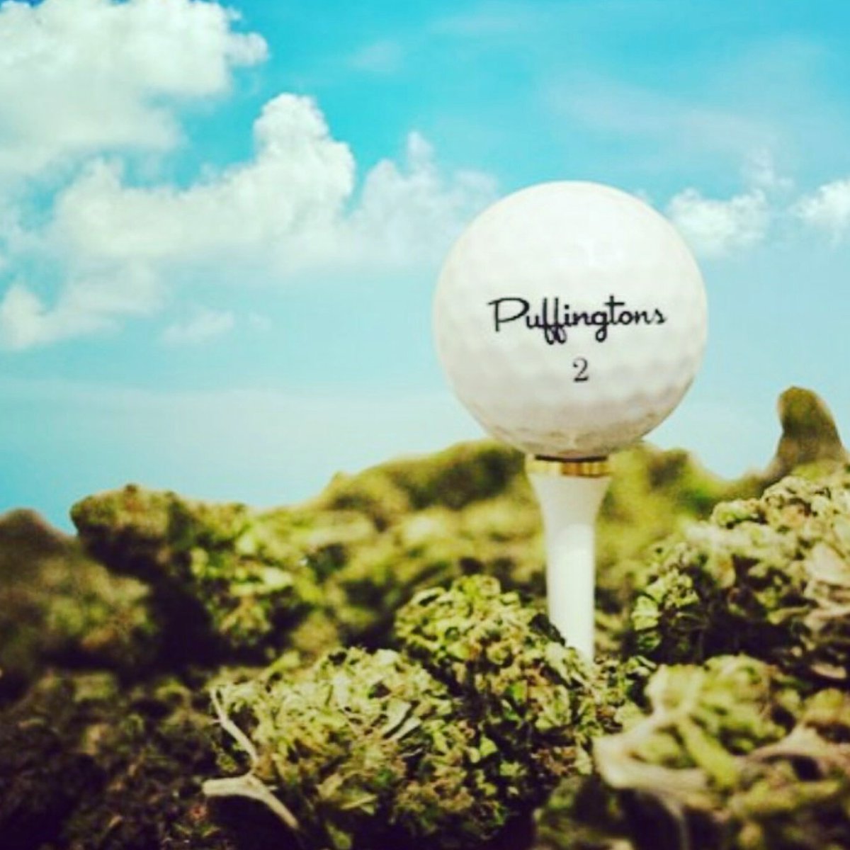 pitch_n_puff's tweet photo. What are you waking and baking with this weedy Wednesday?
#fore20 #cannagolf #wakenbake #puffingtons #alwaysonthegreen #pitchnpuff https://t.co/PqX2zkmrjr