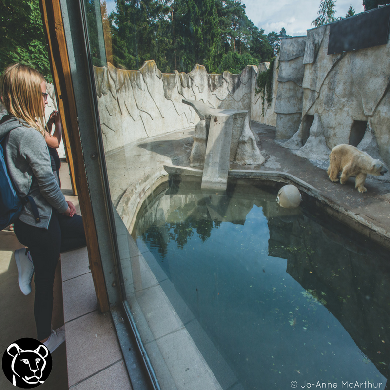 BornFreeFDN tweet picture