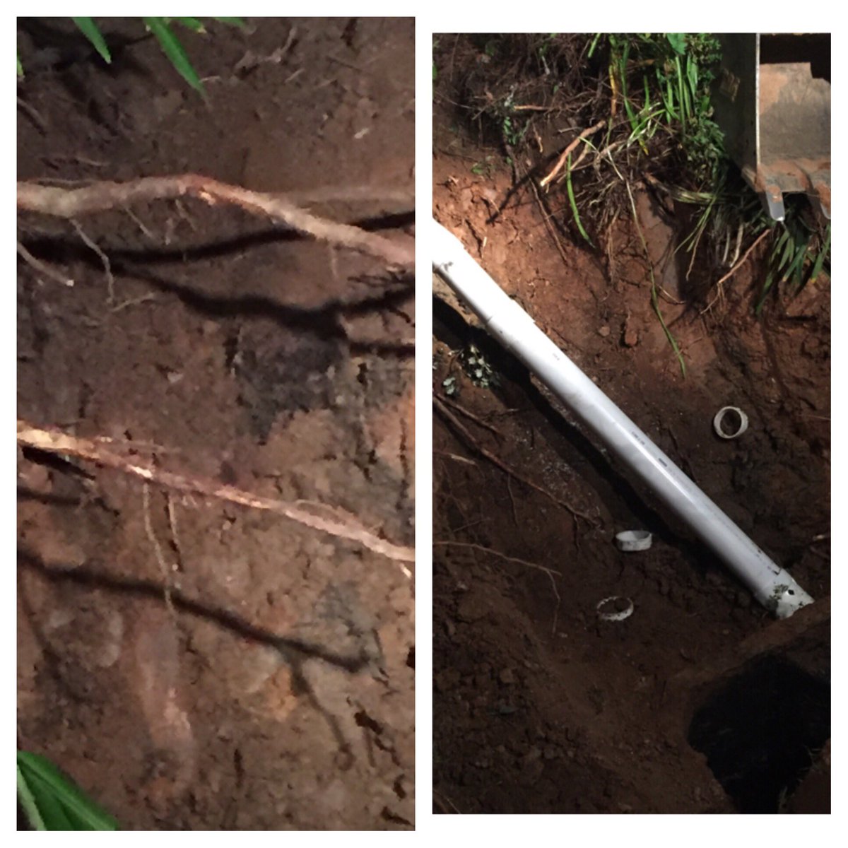 actionsepticsvc's tweet photo. Clearing tree roots + main line replacement, Roswell, GA #treerootintrusion https://t.co/3TntGXL26Q