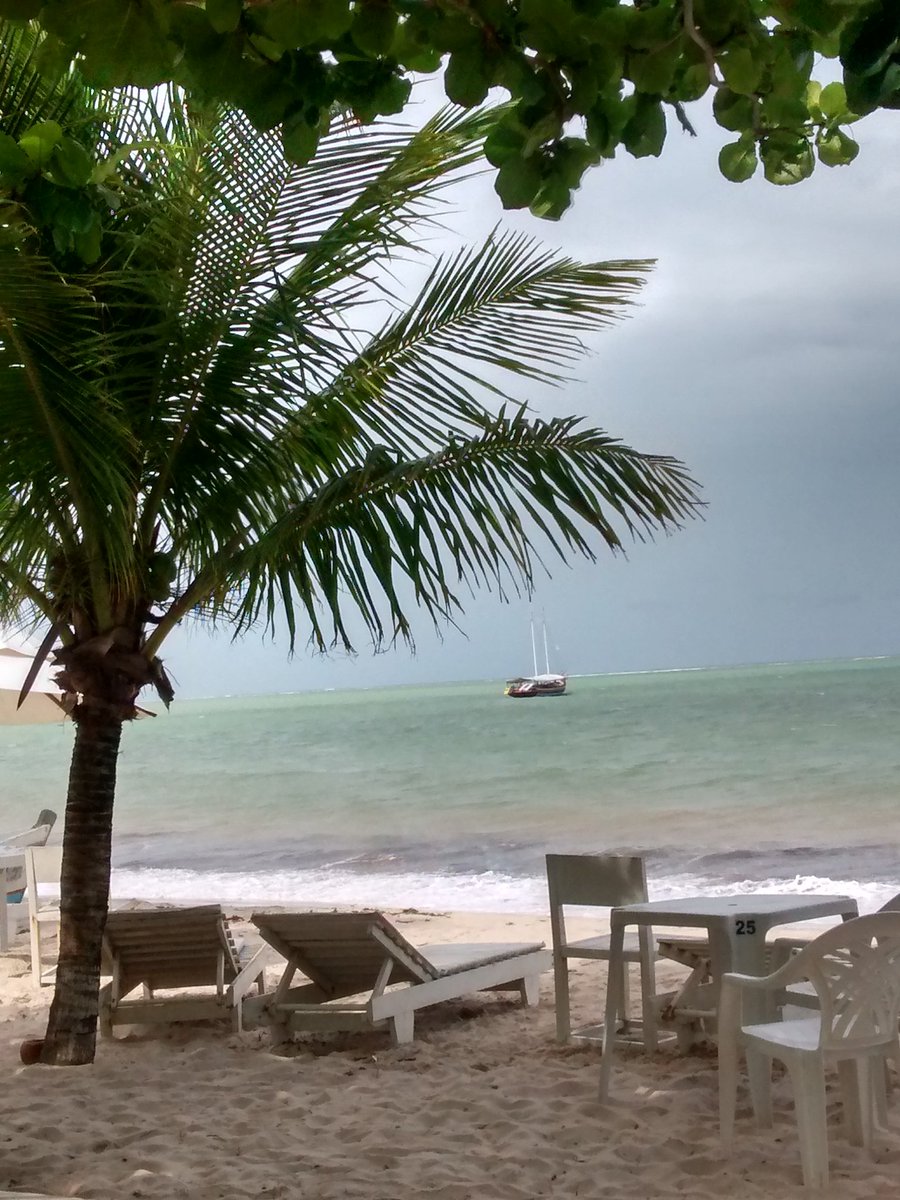 brasilecotours's tweet photo. Bom dia amigos.
Bom dia Bahia! https://t.co/6nhQWza2WQ