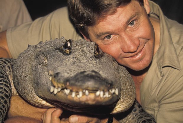 Steve Irwin appreciation tweet