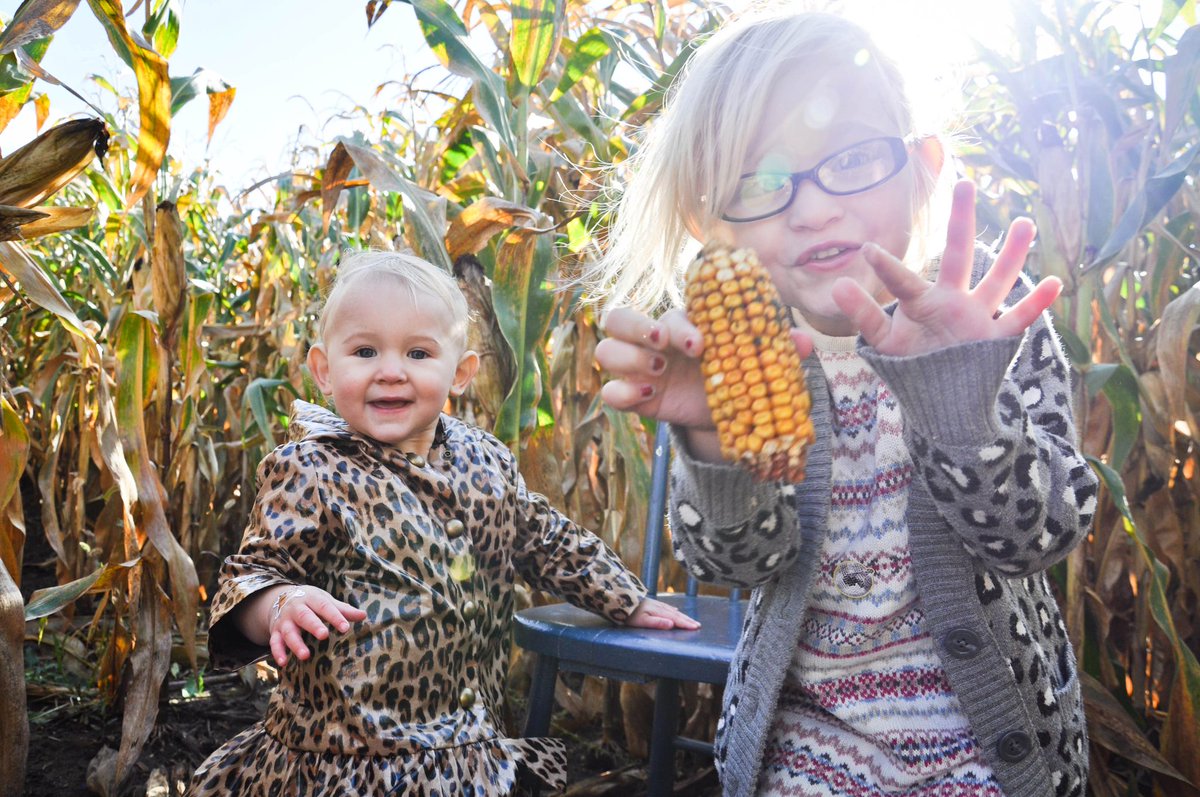 DurhamTourism's tweet image. #DurhamRegion has many fun fall activities for the kids to enjoy &amp;amp; make you feel like one again, too! FallForDurham.ca #FallForDurham