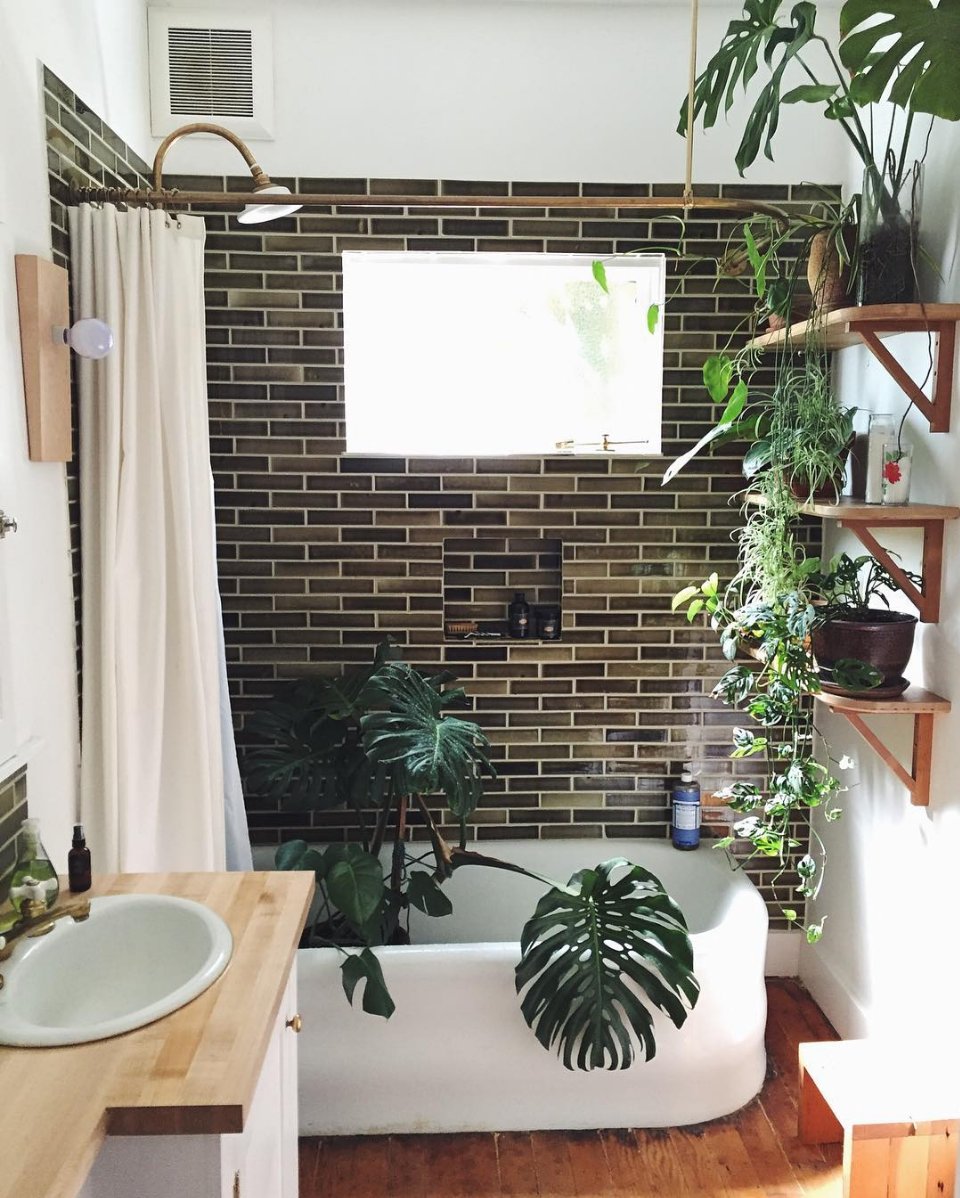 fitzjonespr's tweet photo. Bath time anyone? https://t.co/ZvyvNhPTyN