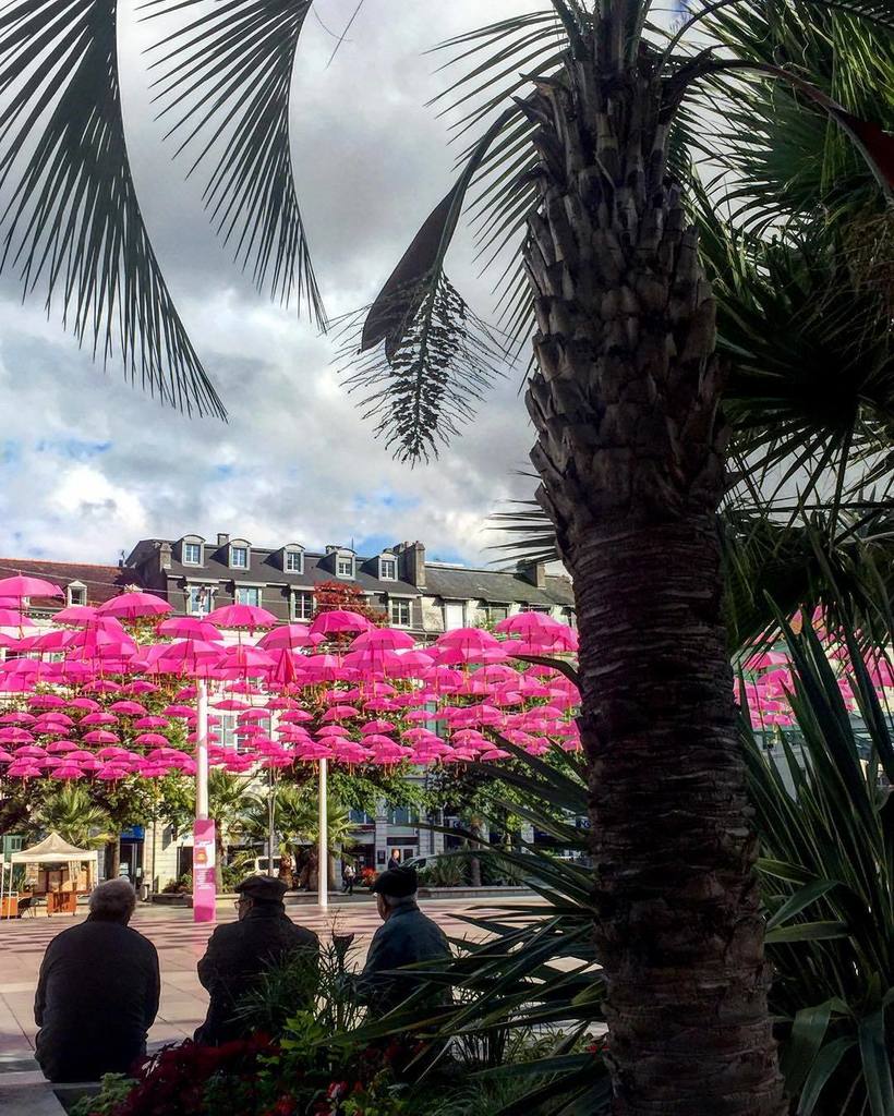 NoelleRemy's tweet photo. #chilling on the #place 🎀
#heureux #retraités 😀
#pau
#anciens 
#midipyrenees 
#igerspau 
#et12 
#streetlife 
#chatt… https://t.co/diKfZT8n1K
