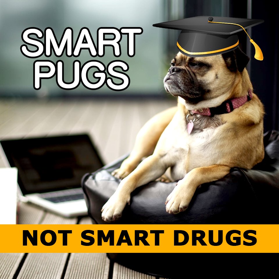 paperwriteruk's tweet image. Pugs Not Drugs! Don't turn to Smart Drugs - let Paper Writer help with your #assignments! ☛ goo.gl/0wdOsl

#writing #students