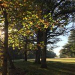 Photo by Reynolda House (@VisitReynolda)