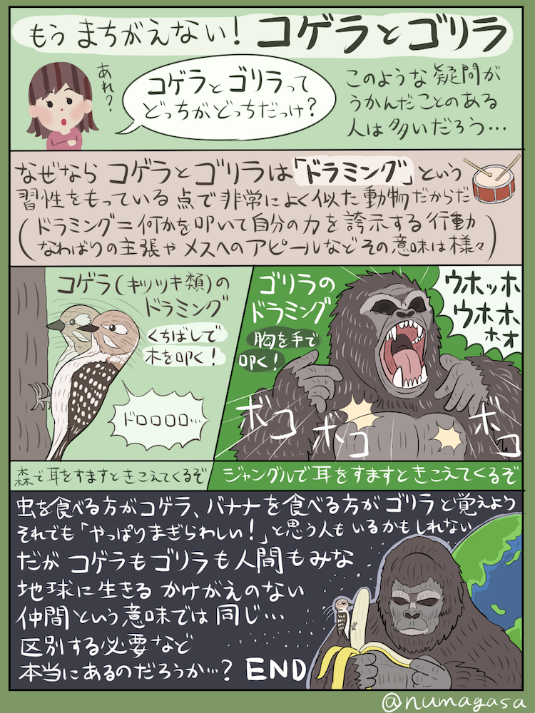 ぬまがさワタリ ゆかいないきもの超図鑑 3 8発売 森の小さなドラム奏者 コゲラ の図解です 住宅地や公園などでも一年じゅう出会えるキツツキですが 秋 冬にかけて特に見つけやすくなるので探してみてください 2ページ目はお役立ち情報 もう ぬまがさワタリ ゆかいないきもの超図鑑 3 8発売 森の小さなドラム奏者 コゲラ の図解です 住宅地や公園などでも一年じゅう出会えるキツツキですが 秋 冬にかけて特に見つけやすくなるので探してみてください 2ページ目はお役立ち情報 もう