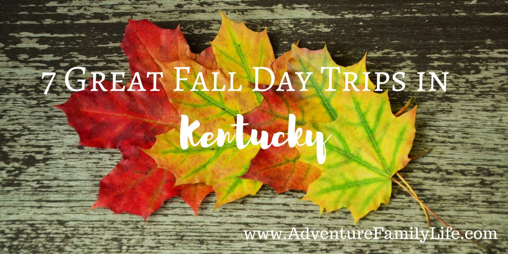 Venturefamlife's tweet image. I'm always homesick for #Kentucky this time of year!  New on my #travelblog 7 Great Fall Day Trips in adventurefamilylife.com/7-day-trips-ke…