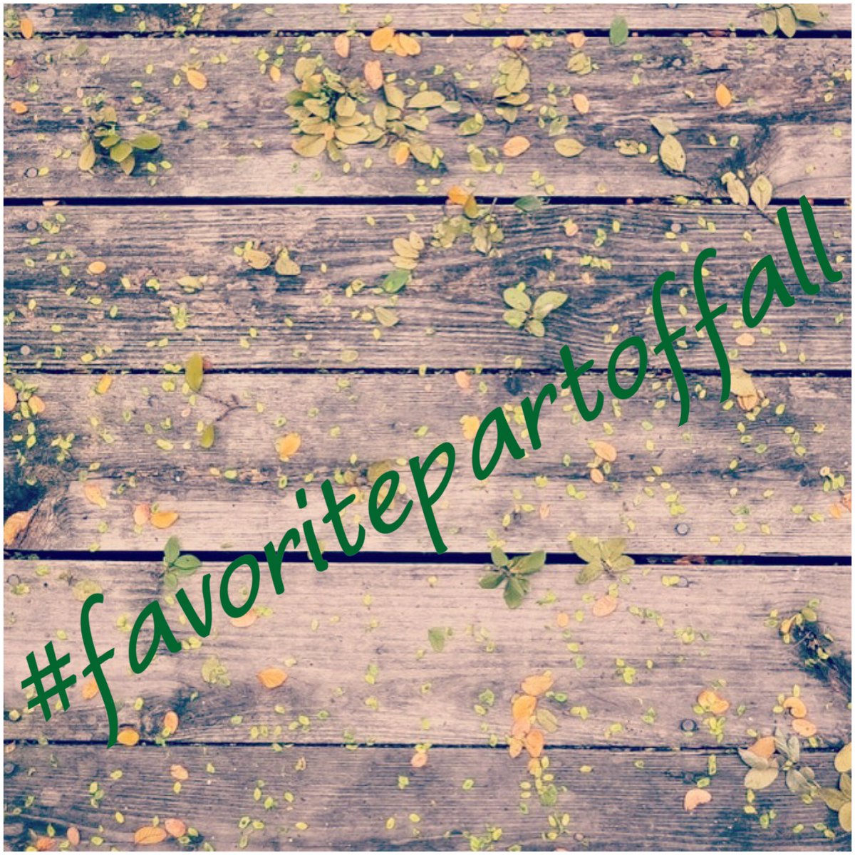 Essentials_SH's tweet image. Fall has officially arrived &amp;amp; we want to know what your favorite part of fall is for a chance to win #freebies! #fall #favoritepartoffall 🍁🎃