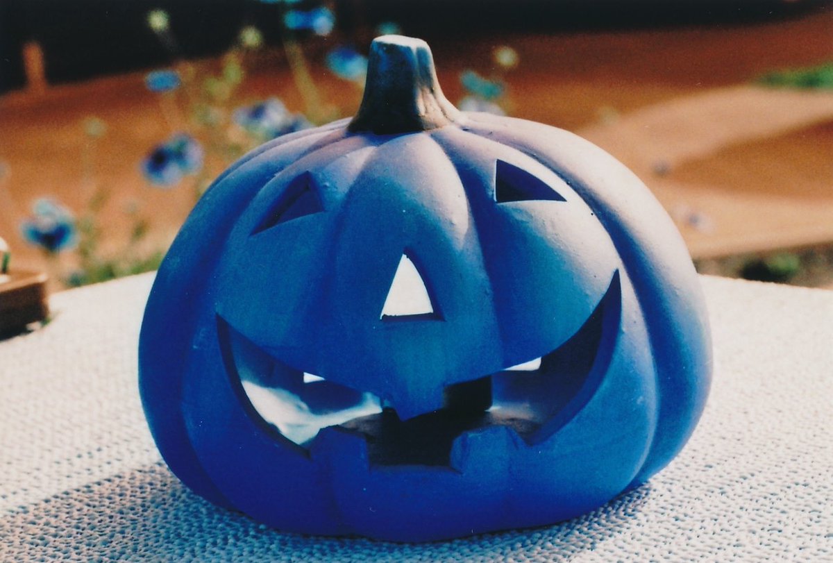 lomographyuk's tweet photo. Join us next Thursday for the #newburghst Halloween Party! @carnaby #spooky  #lomo https://t.co/lyb4uMDfmW https://t.co/gE4ussVUWW