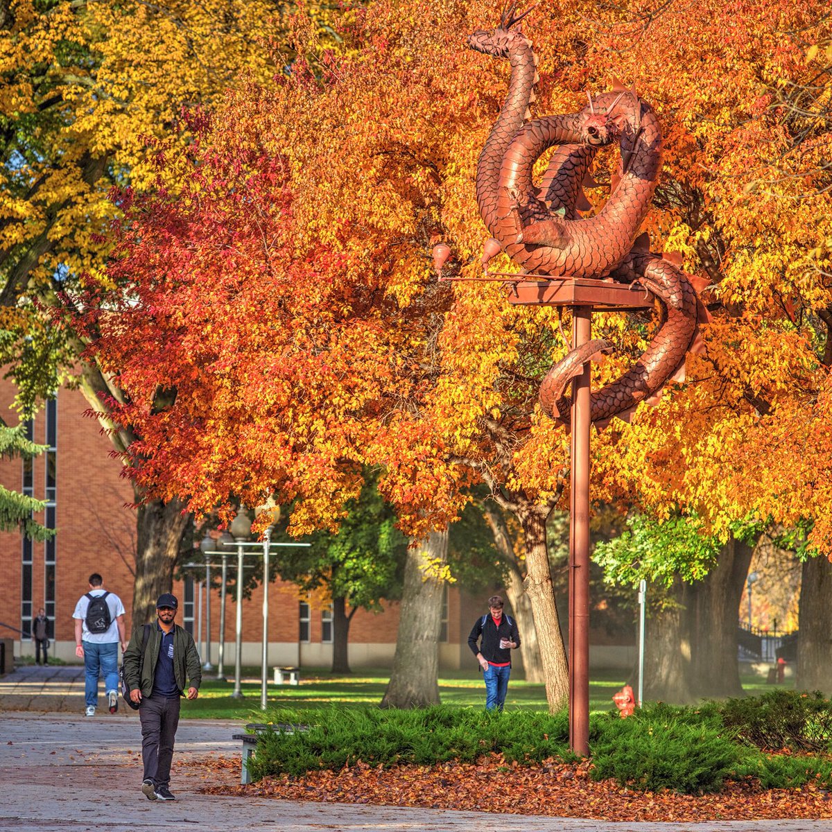 MSUMoorhead's tweet photo. Autumn is a beautiful time on campus. https://t.co/23MIkSVxKx