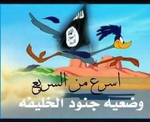 #فراخ_الخليفه

#بيب_بيب