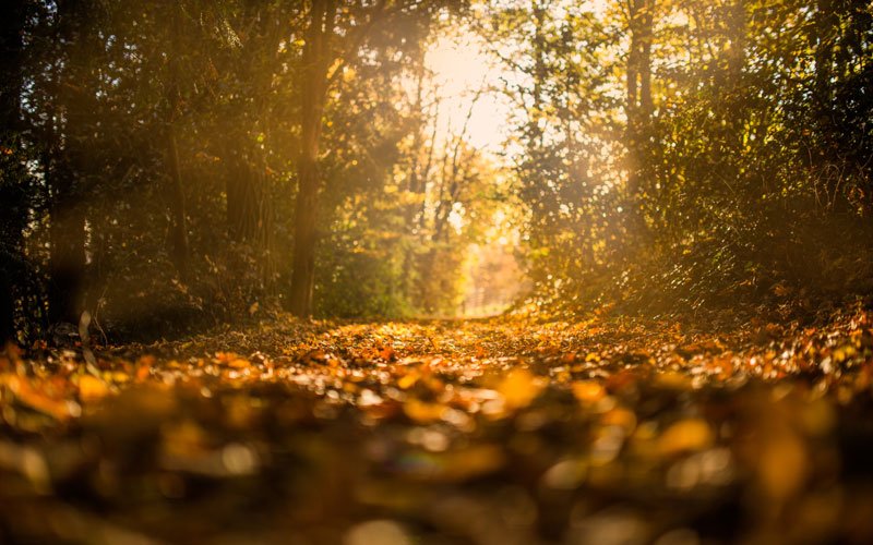 Wingman Condoms tweet media