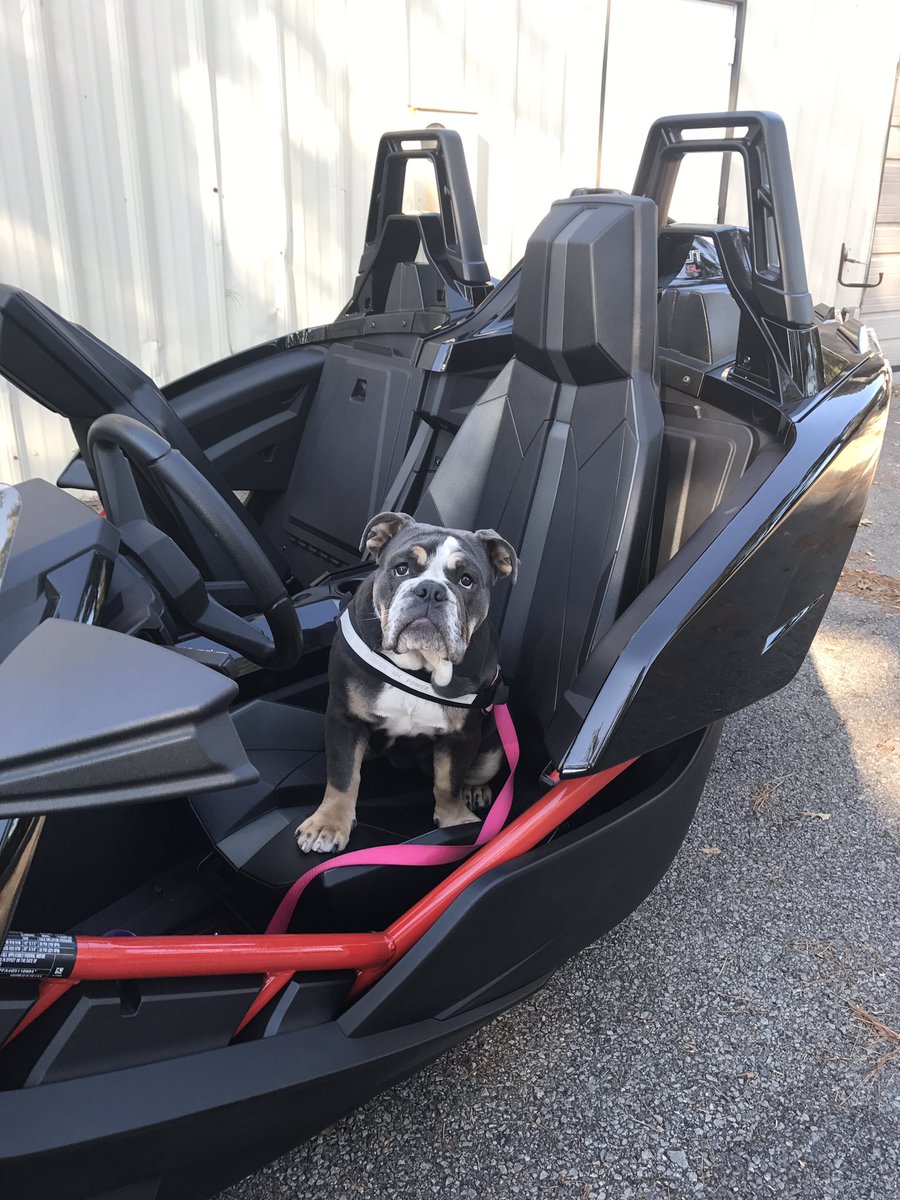 When is Daddy going to get me a helmet so I can ride in the @polarisslingshot too! #slingshot #polaris #letsride #bulldog <a href="/Slingshot/">Slingshot®</a> #dogs