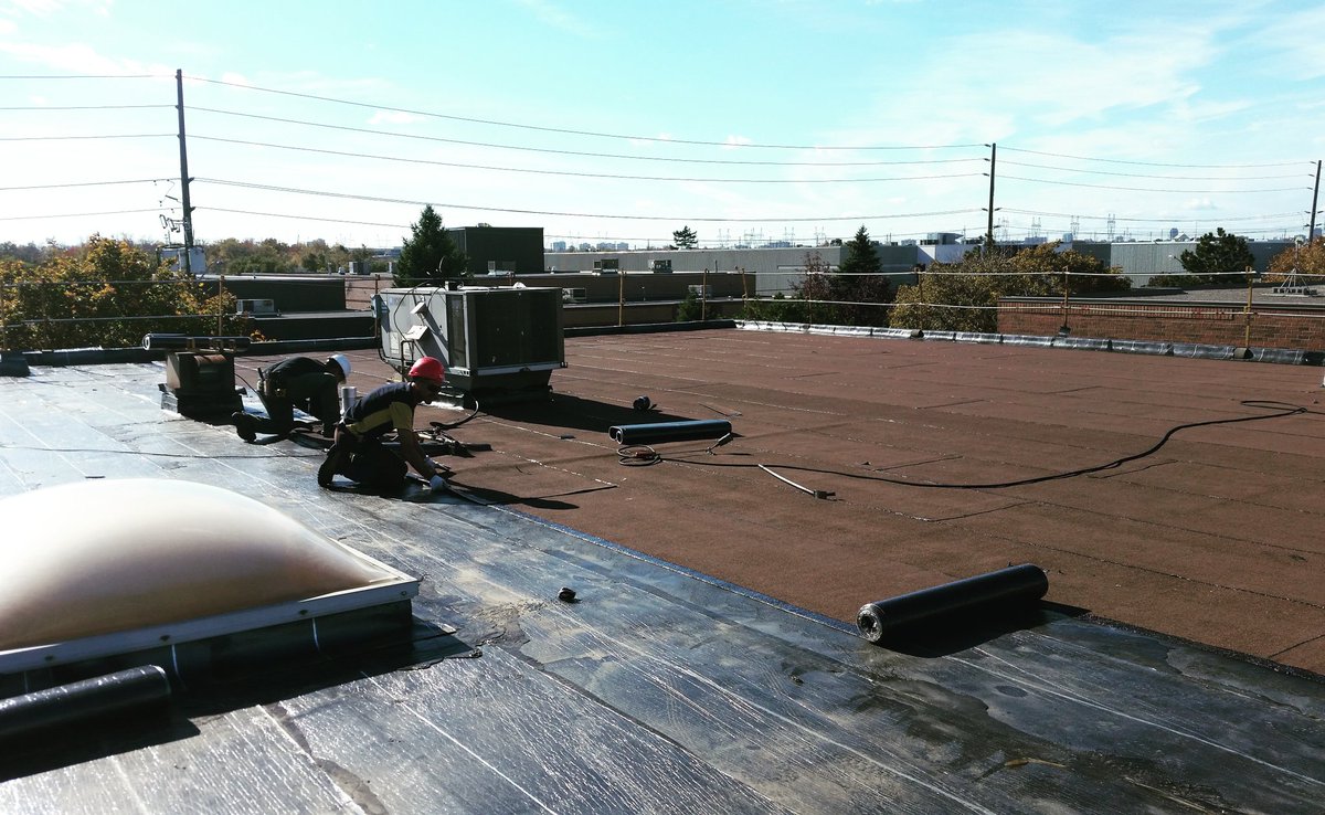 RoofcanToronto's tweet image. Crew working diligently to finish off more roofs during good weather. #roofing #modifiedbitumen #modbit #flatroofing #roofcan #greatcrew