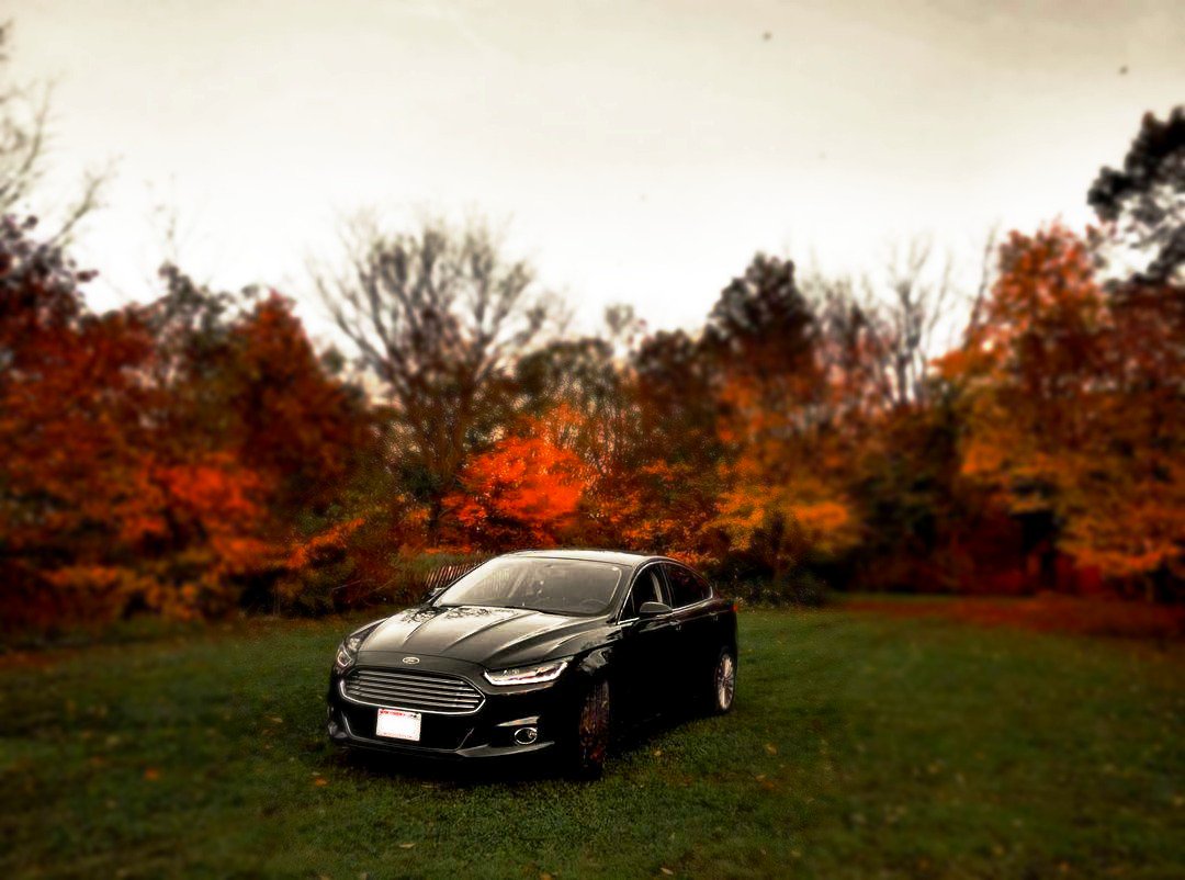 AtchleyFordNE's tweet photo. The Fall colors are pretty too!  #Ford Fusion https://t.co/TPmpCEbcU7 https://t.co/rgIAhruJSf