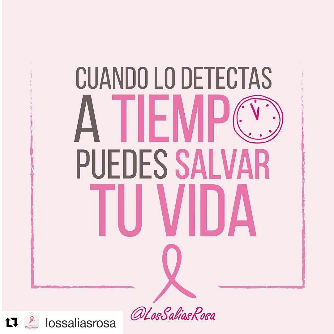 lossaliasrosa's tweet photo. https://t.co/cMTwRdY9Cd