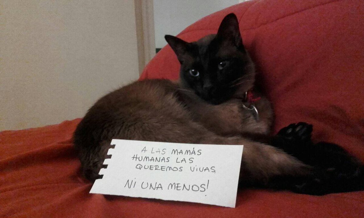 Nos vemos en el Obelisco en un ratito o más tarde en la Plaza. #NiUnaMenos #VivasNosQueremos