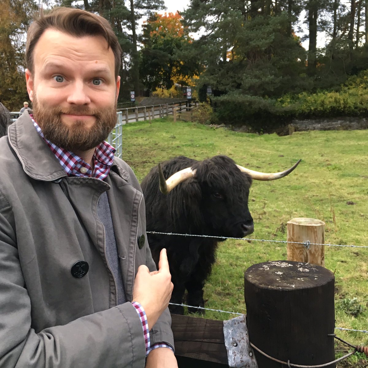 renfield75's tweet photo. Day 3: The famous (and adorable) "fuzzy cows" of the Scottish highlands! #scotland #uk #fuzzycows #travel #europe #adventure #highlands https://t.co/irN7LOlxZm