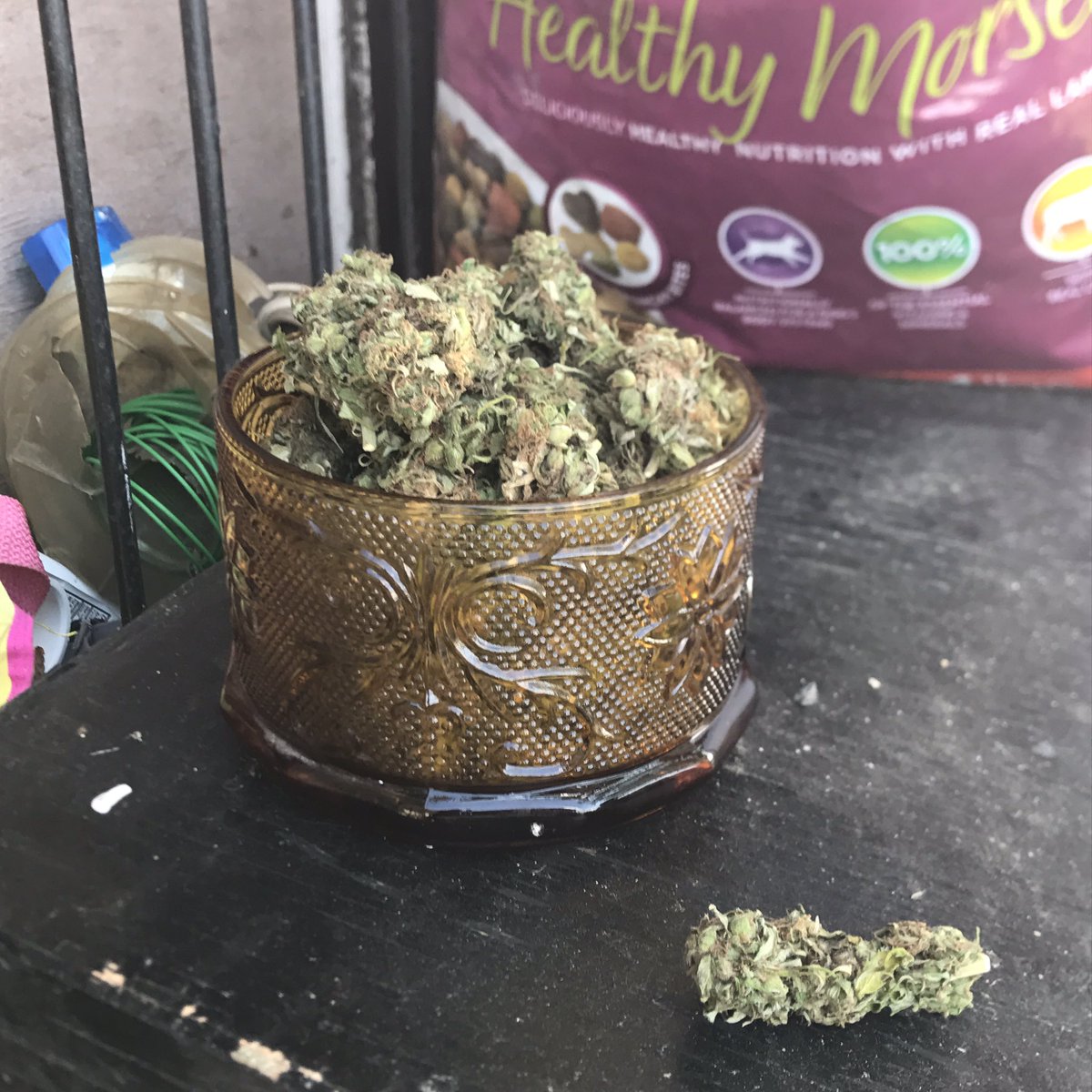 stackdoe69's tweet photo. Something personal🍁🍁🍁 #ifeellikelenox #Gas #datstrong https://t.co/cyOIvF2UuL