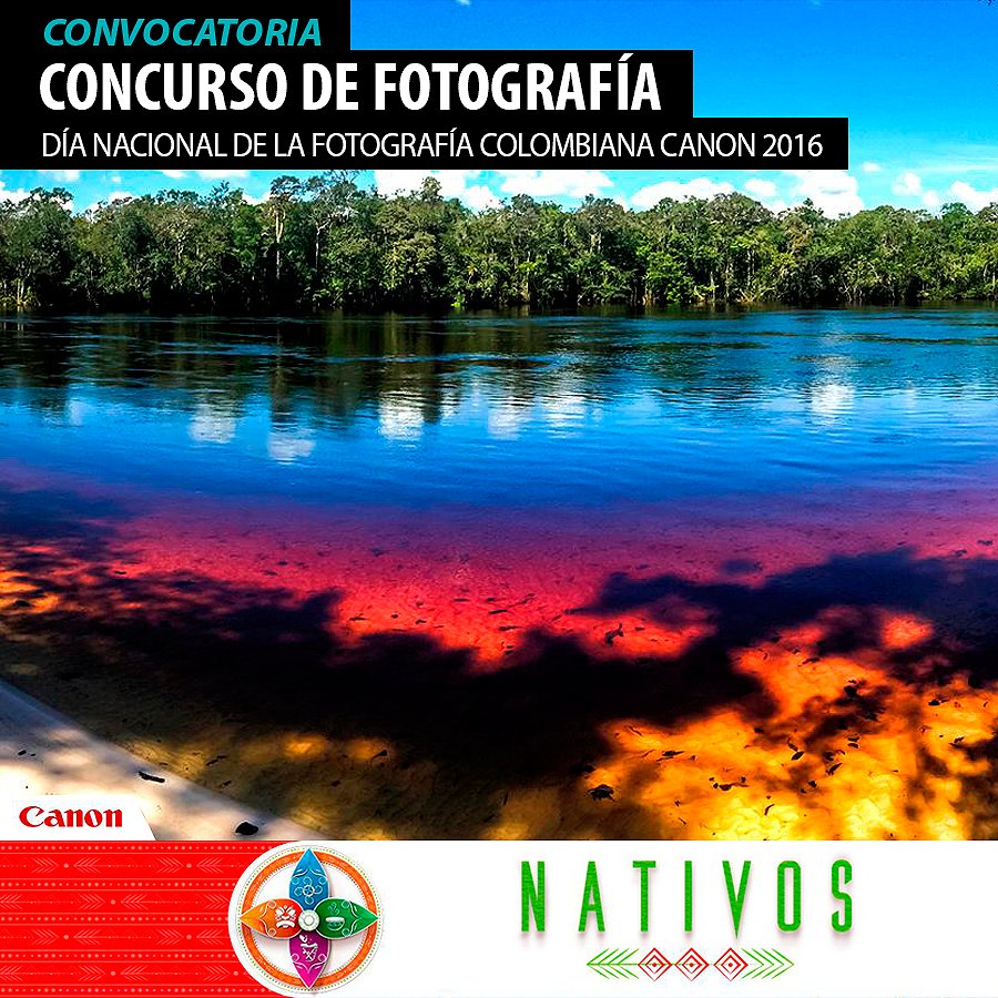 Colbicicleta's tweet photo. #BuzzBi Concurso de Fotografía. Día Nacional de la Fotografía Colombiana @Canon_Colombia DNFCC 2016 https://t.co/RgJaI7s6lX https://t.co/JFnbt2yskh