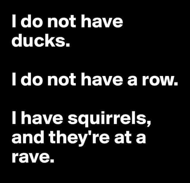 Amy240385's tweet photo. #justsaying #WednesdayWisdom https://t.co/g2g5FJNV54