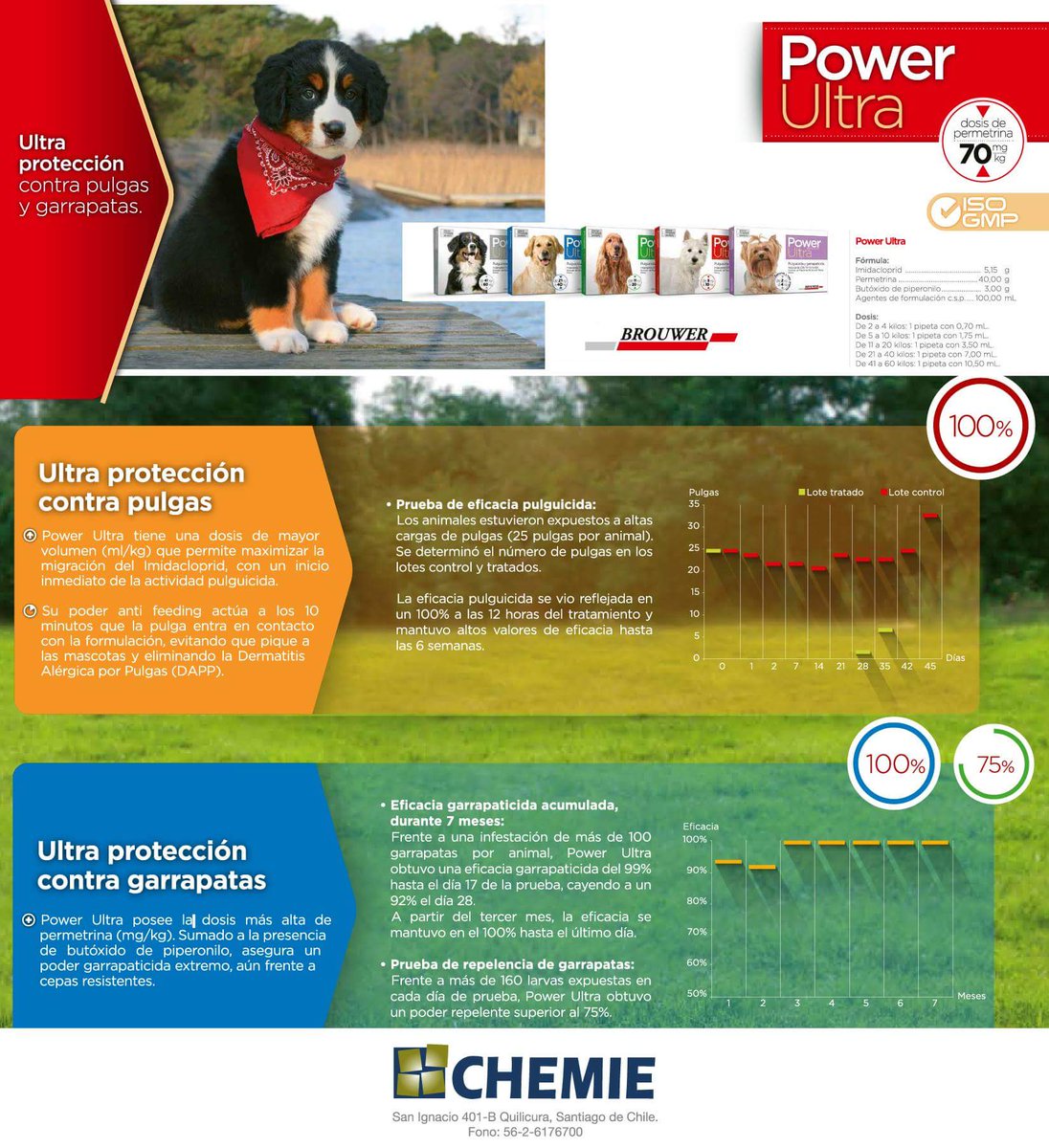 Chemie_sa's tweet photo. Contra las pulgas y las garrapatas #PowerUltra
#Chemie #veterinario #garrapatas #pulgas #pipeta https://t.co/kSWYPWETMN