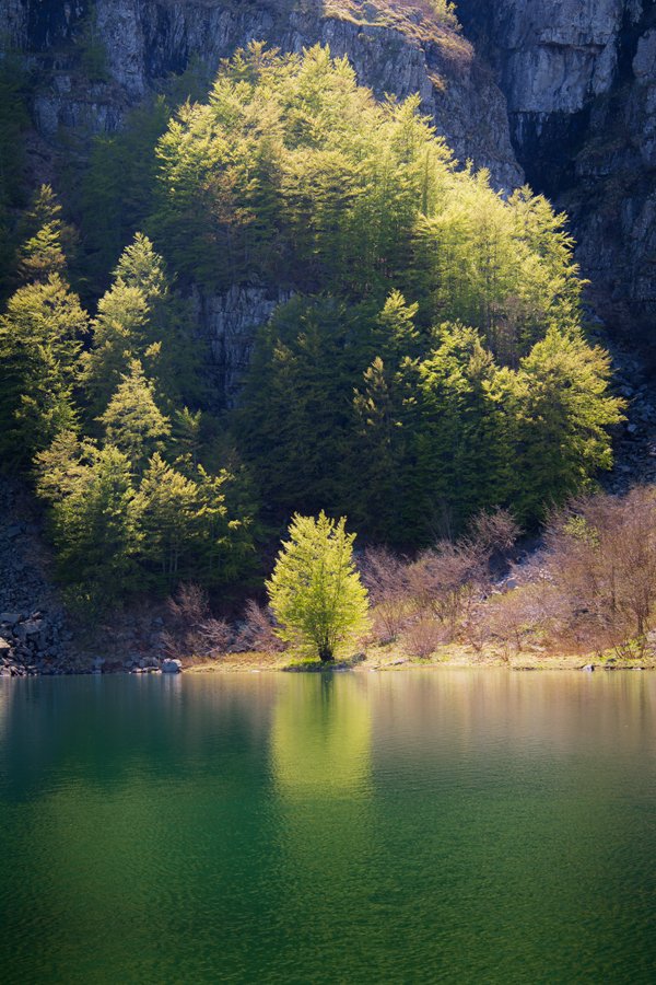 ditantomondo's tweet photo. Riflessi sul Lago Santo, nell'#Appenino modenese. Forza amanti del #trekking! @ERTourism @parcoappennino @ModenaDintorni Foto:DevisBellucci https://t.co/pj5x9EWcF2
