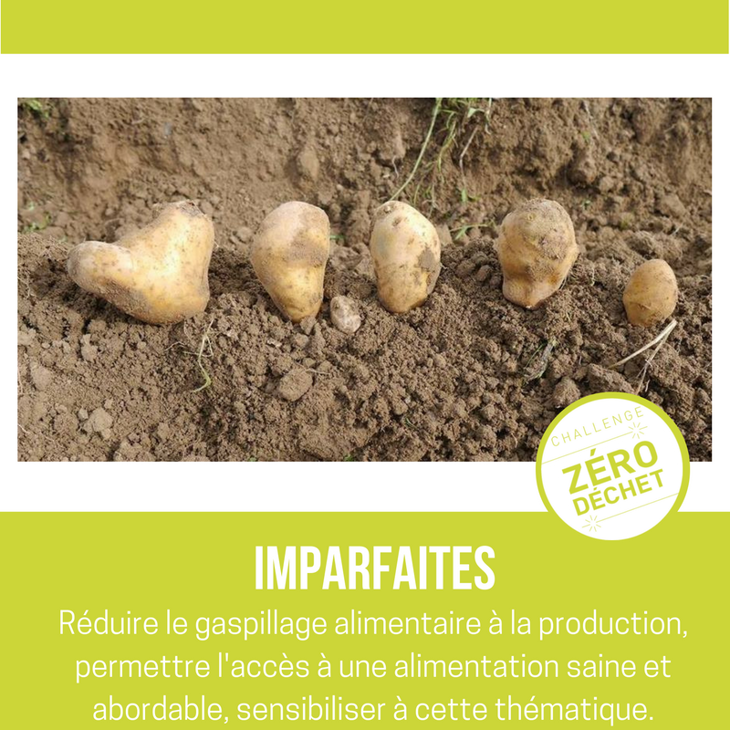 wedogood_co's tweet photo. Découvrez les #Imparfaites engagées pour réduire le gaspillage alimentaire, sélectionnées pour le #ChallengeZD !

https://t.co/DCeZLbS6HT https://t.co/aUxSa4YOVb