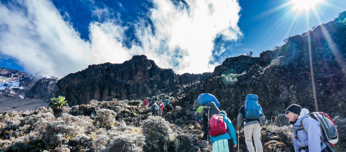 TiffanyGibert's tweet photo. Reforesting Mt. Kilimanjaro could make a big different in local water security. #climatechange #WMF_2016 via @UNEP https://t.co/MUP1q6Ukvf https://t.co/I0968WIiPv