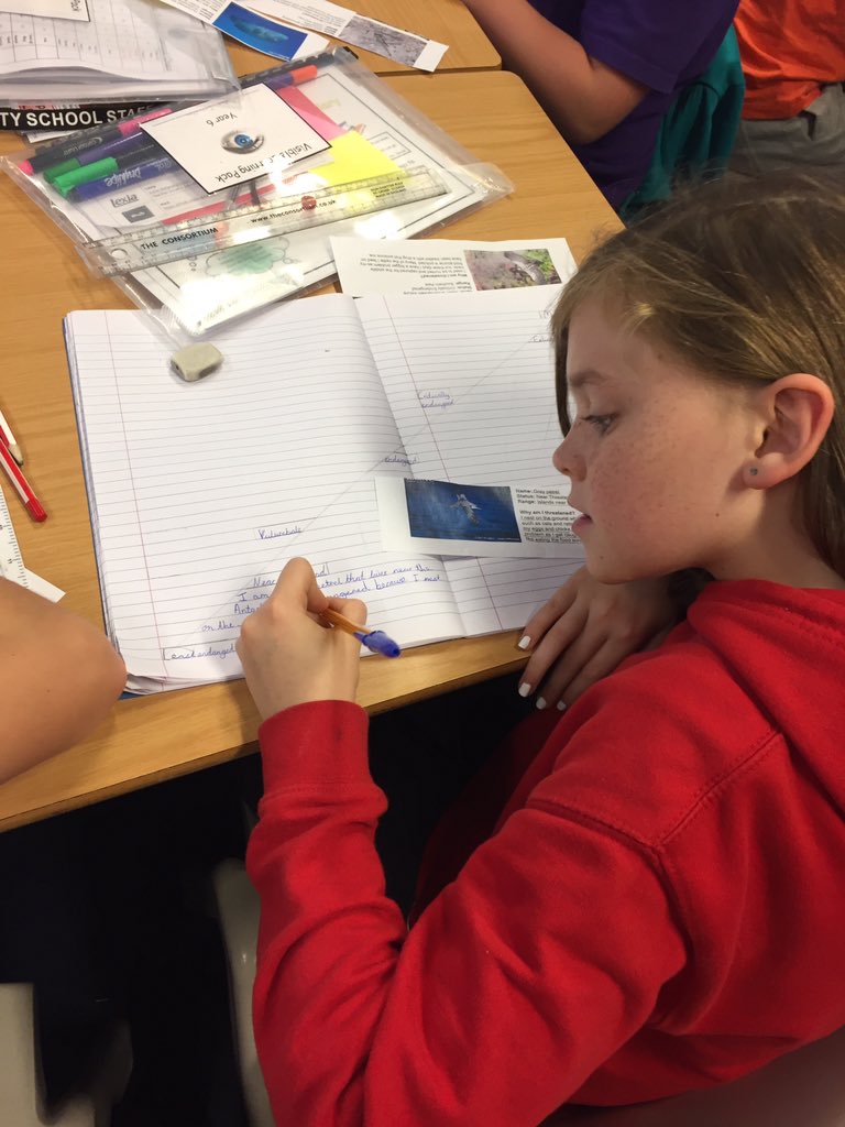 Year6PDCS's tweet photo. Year 6 @PDCSPrimary creating a 'Conservation Status' to further their understanding of endangered species #SouthAmerica  #RiskOfExtinction https://t.co/yiK0PpEKye