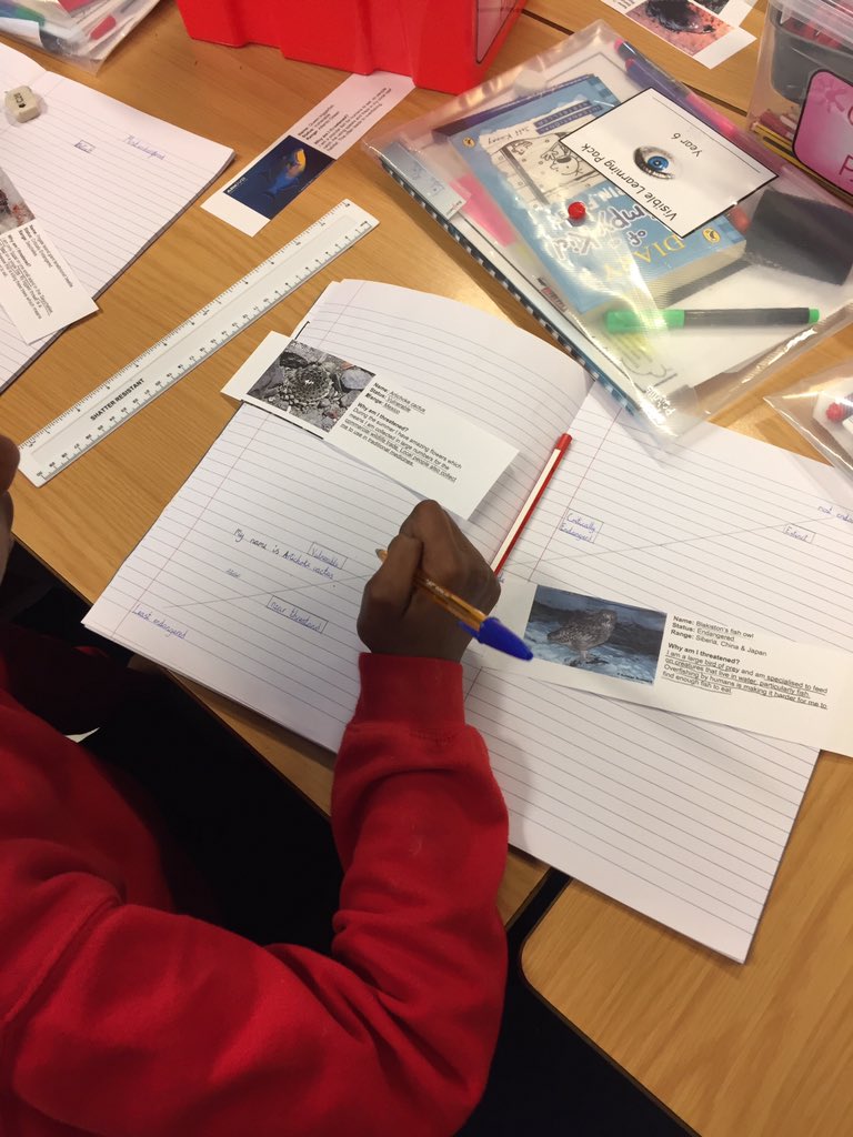 Year6PDCS's tweet photo. Year 6 @PDCSPrimary creating a 'Conservation Status' to further their understanding of endangered species #SouthAmerica  #RiskOfExtinction https://t.co/yiK0PpEKye