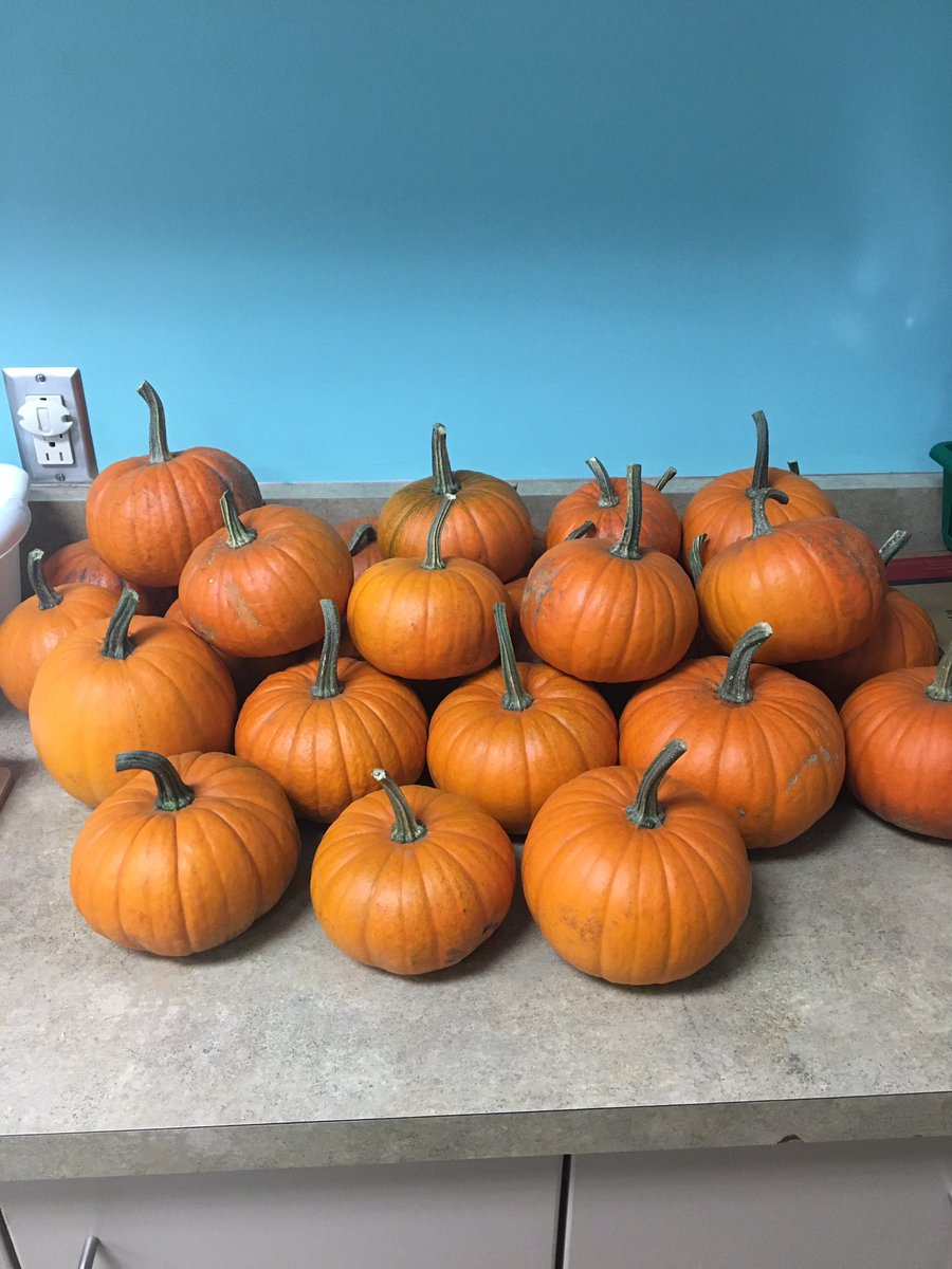 ELClilstars's tweet photo. Our next investigation/ study will be about ...we can't wait to share what we learn #elcprek #demdelights @jennynitchals https://t.co/7p6UqRTRYY