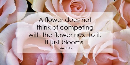 MaggiesFarm_IPM's tweet photo. Just bloom.🌼 #WednesdayWisdom

#wisdomWednesday #Wednesdaymotivation #wednesday #wisdom #wednesdaymorning #botanicalweek #flowers #plantoils https://t.co/UbskN2MdZG