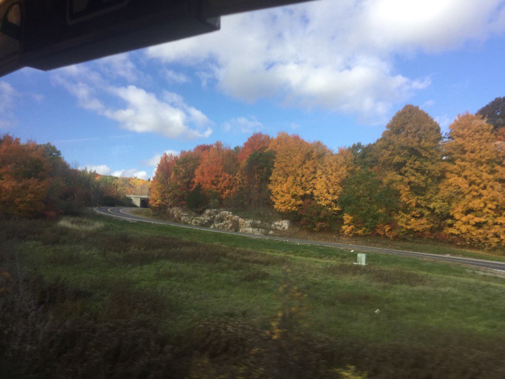 YourNiagaraHome's tweet photo. Spectacular #fallcolors from the @VIA_Rail train outside #Kingston this morning.  On the way home from #CREAPAC16 . https://t.co/WsPcM2h05b