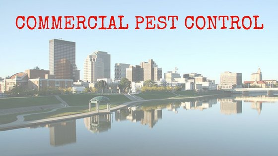 a1ablepestdoc's tweet image. Check out our customized commercial pest prevention plans today! #pestcontrol #staybugfree ow.ly/X4G2305kOns