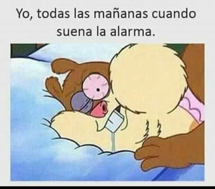 LasComanders's tweet image. Jojo