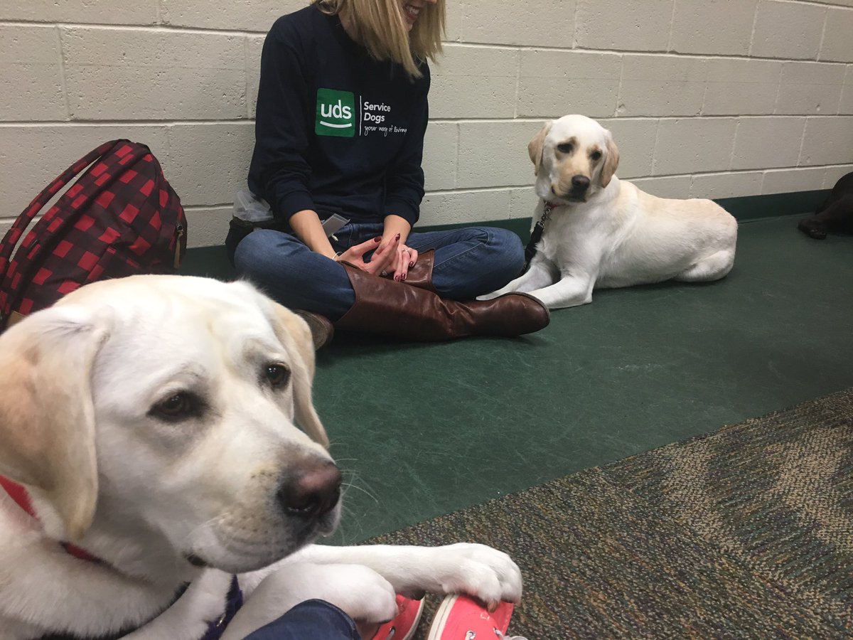 WESpolarbears's tweet photo. #udservicedogs photo shoot w/ #HersheyBears #NYCSDstory @LeisaWeicht @SMEPolarBears https://t.co/HAmVaLfUr1