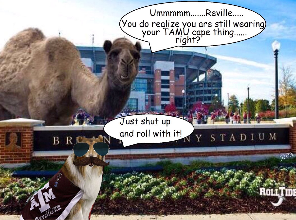 jkittkat's tweet photo. @RyanCFowler @TheGAMEon1029 @TidalTowel When Reville tries to hide from the #CrimsonTide. #TAMUHateWeek #RollOverReville #RollTide๐
ฐ๏ธ๐๐๐ https://t.co/rWTP8IUS8D