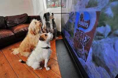 GOC_Borama's tweet photo. Científicos revelan qué es lo que ven los perros cuando miran la tele!
#Tecnología #DogTV
https://t.co/iZp1yKpycE https://t.co/CocA1iMhSR