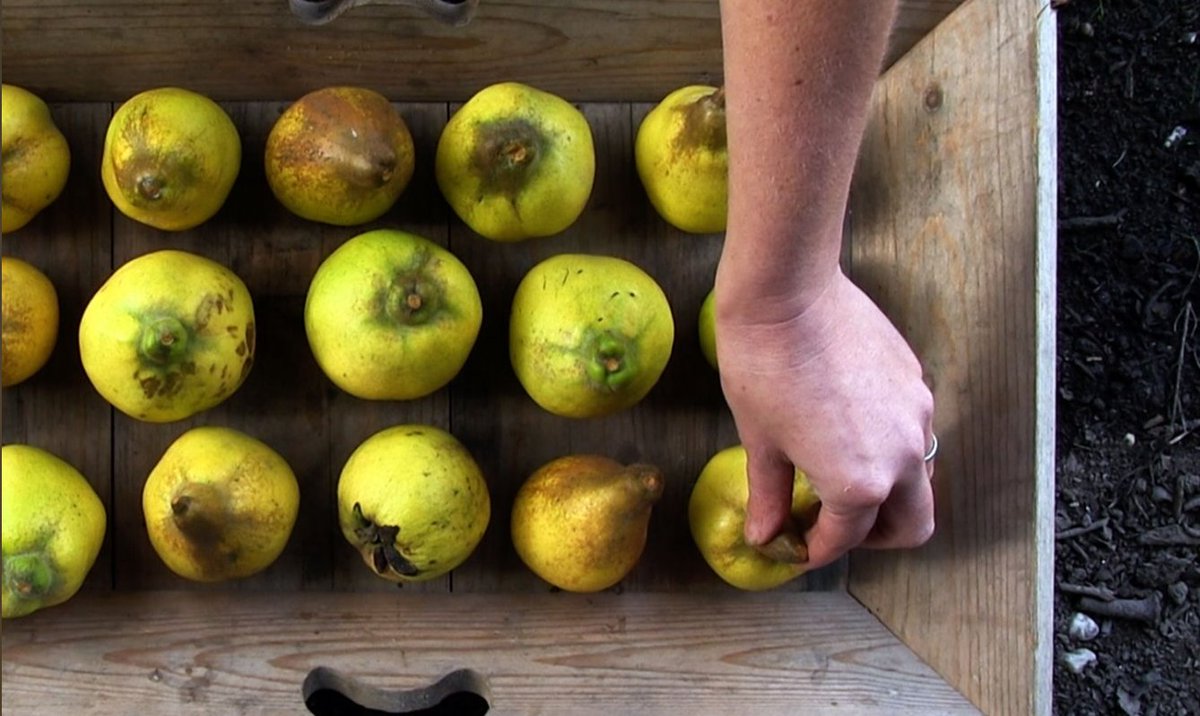 Our season 3 premiere at <a href="/EatableFilms/">eatable.</a> with <a href="/ChefHorne/">John Horne</a>! Next Tuesday, come see us and eat! 
bit.ly/2e6o4Qt