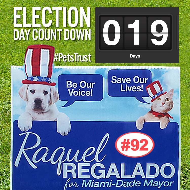 SplashFoto's tweet photo. Animals need a voice at #CityHall too! They need us to vote for @RaquelRegalado #PetsTrust #LocalElections #Miami #share @peta2 @peta https://t.co/CVYLbNPBmw