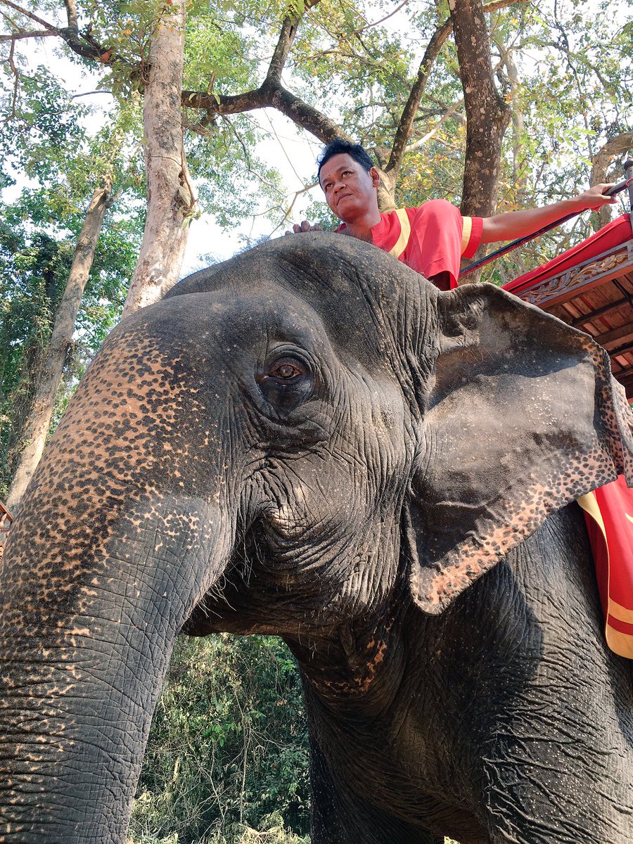 We have 18 spots left for our January 2017 Cambodia trip, sign up today. (Link in bio.)