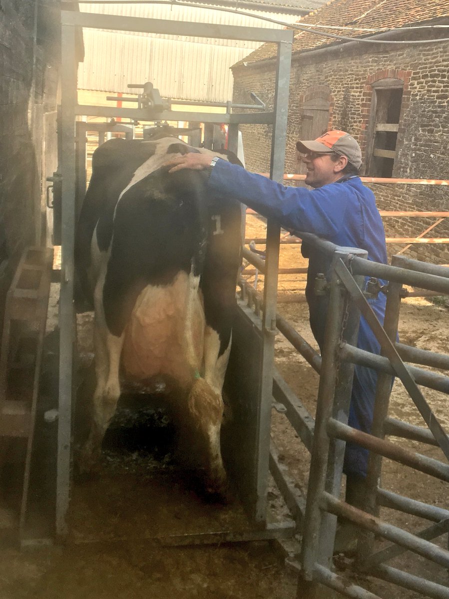robdvet's tweet photo. Preservice checks time use #estrotect to max submission = target >50% preg rate first 21days of block @dairy_farmers https://t.co/wNtp1jxxlD