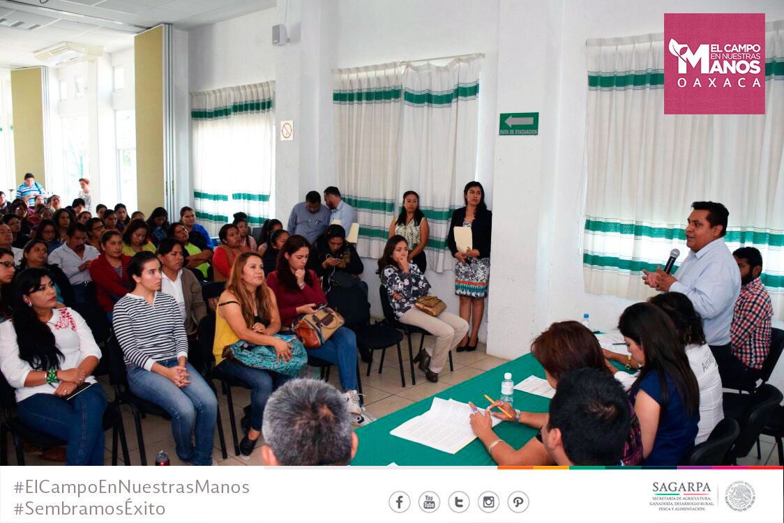 MujeresCampoOax's tweet photo. En el Marco del #DíaDeLaMujerRural se inaugura el Foro "Intercambio de Experiencias de Mujeres Rurales" en @SAGARPA_Oax @RigobertoGomez_ https://t.co/Dh96NSPTCg