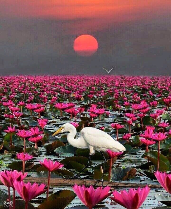 <a href="/ahsonrizvi20/">Ahson Rizvi</a>