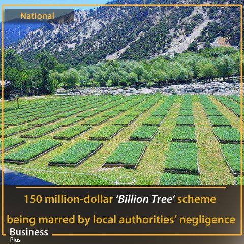 futuredottv's tweet image. Negligence causing damages to`#BillionTree’ project in #KPK
Read More:
businessplustv.pk/2016/10/19/neg…