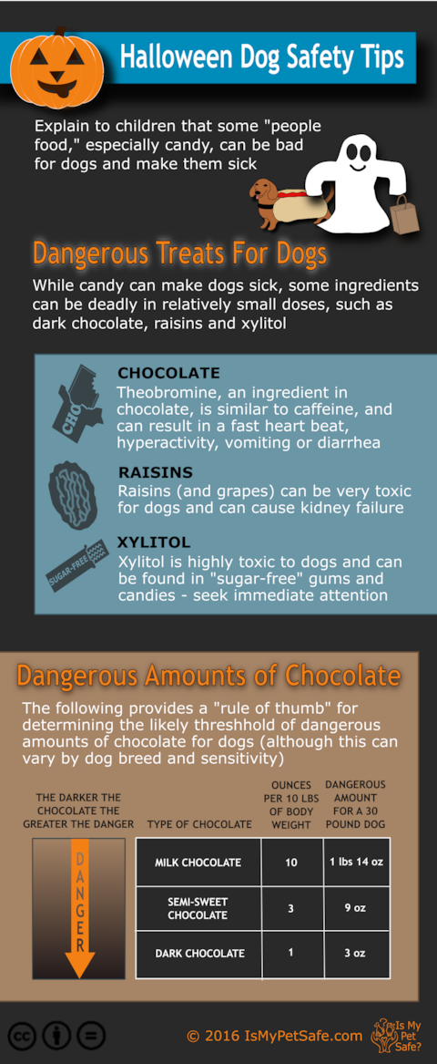 ismypetsafe's tweet photo. #Halloween is not just #spooky for #pets but is #dangerous too!  Complementary graphics to explain the risks 3 sizes https://t.co/VuKiecz3xT https://t.co/cVLKhlQvER