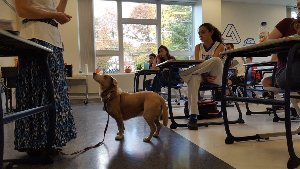 PHSCareerPlan's tweet photo. Career presentations going well for high school students interested in working with animals. https://t.co/nzCcRGS1JA